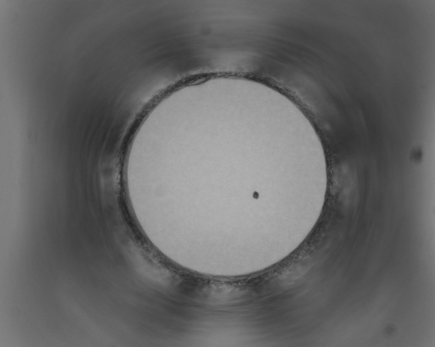 X0000090860632200708241859