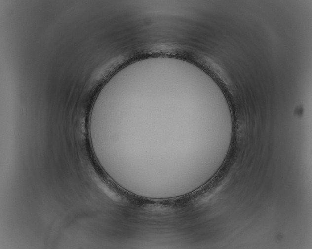 X0000090860633200708241859