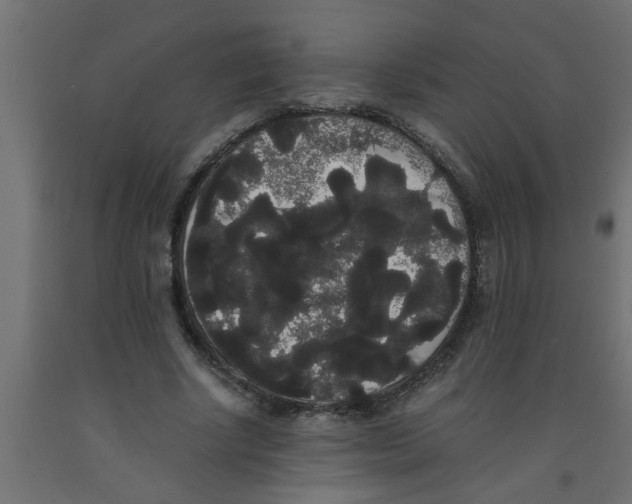 X0000090860634200708241859