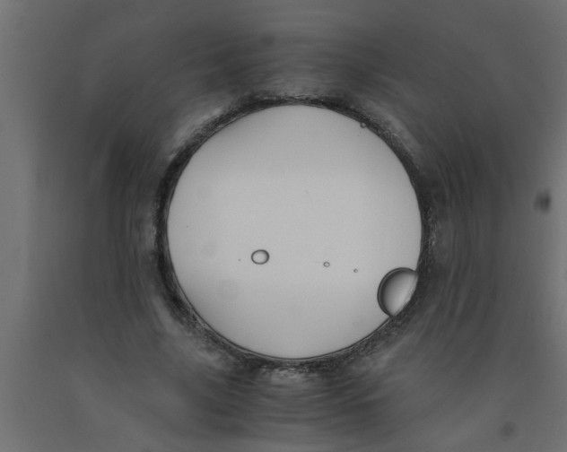 X0000090860635200708241859