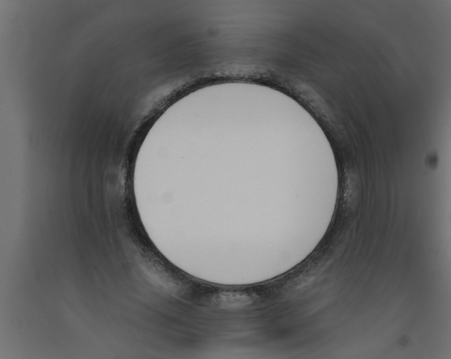 X0000090860636200708241859