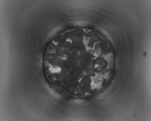 X0000090860637200708241859