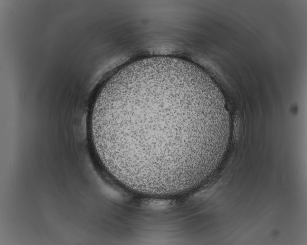 X0000090860638200708241859