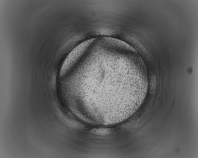 X0000090860639200708241859