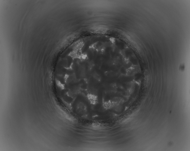 X0000090860641200708241859