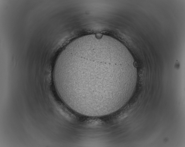 X0000090860642200708241859