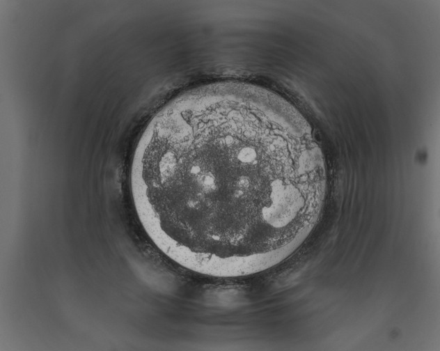 X0000090860643200708241859