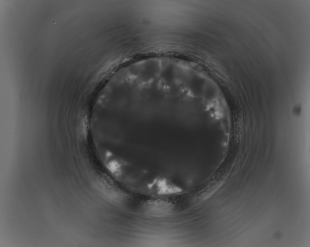 X0000090860644200708241859