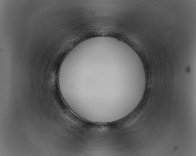 X0000090860646200708241859