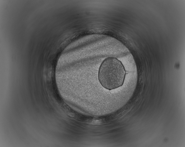 X0000090860647200708241859