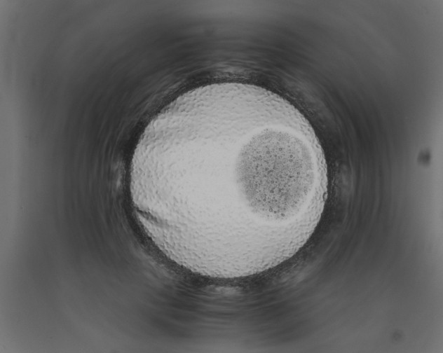 X0000090860649200708241859