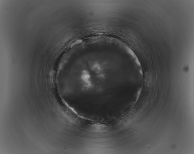 X0000090860650200708241859