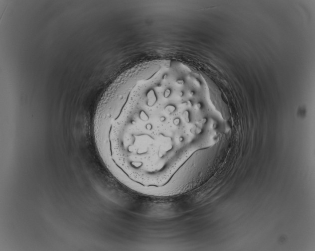 X0000090860651200708241859