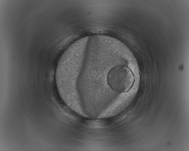 X0000090860652200708241900