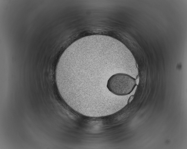 X0000090860653200708241900