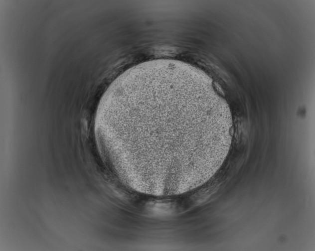 X0000090860655200708241900