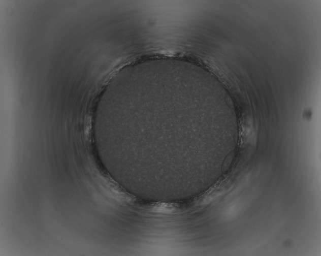 X0000090860656200708241900