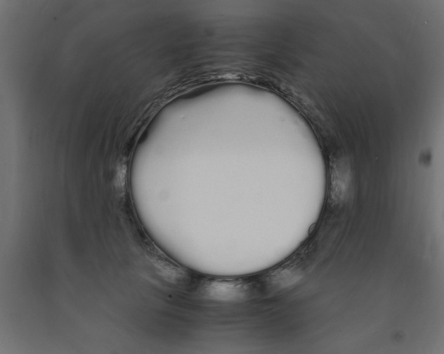 X0000090860657200708241900