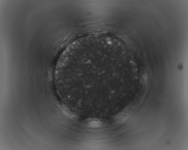 X0000090860658200708241900