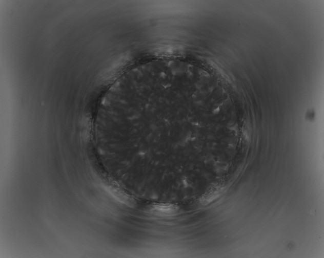 X0000090860659200708241900