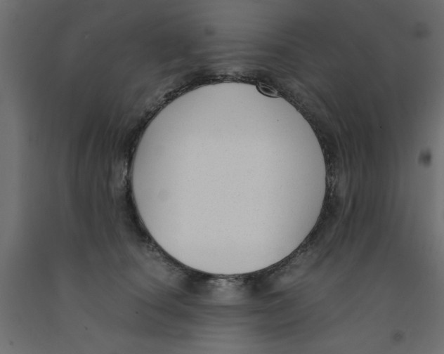 X0000090860660200708241900