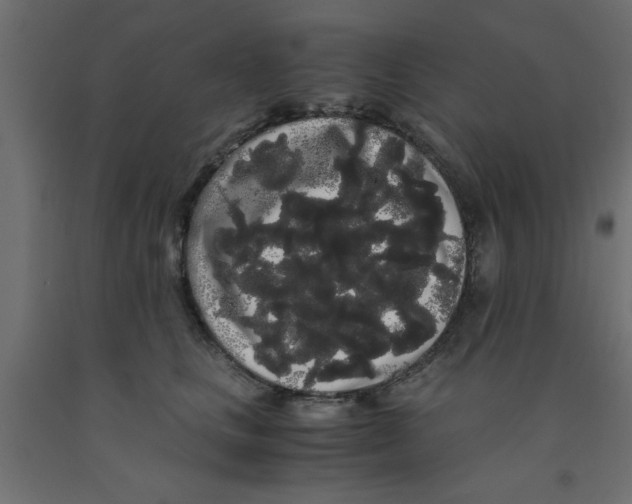 X0000090860661200708241900