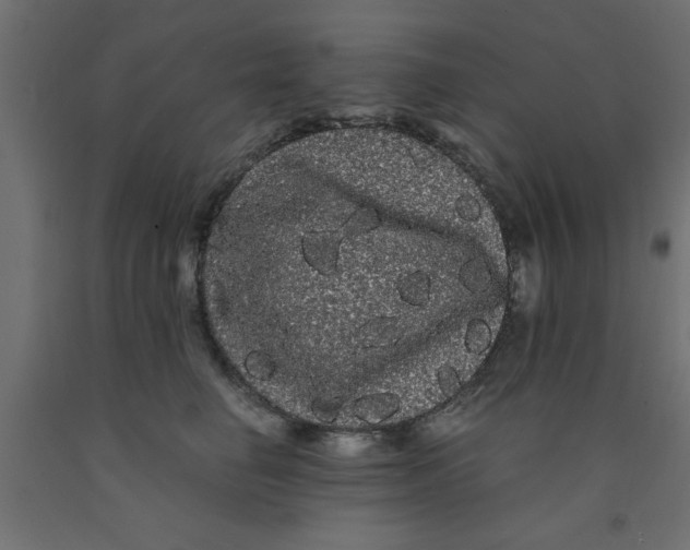 X0000090860662200708241900