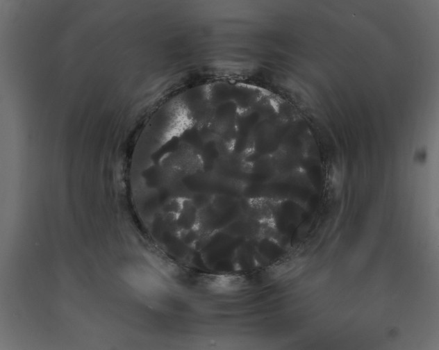 X0000090860663200708241900