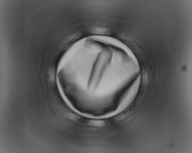 X0000090860665200708241900