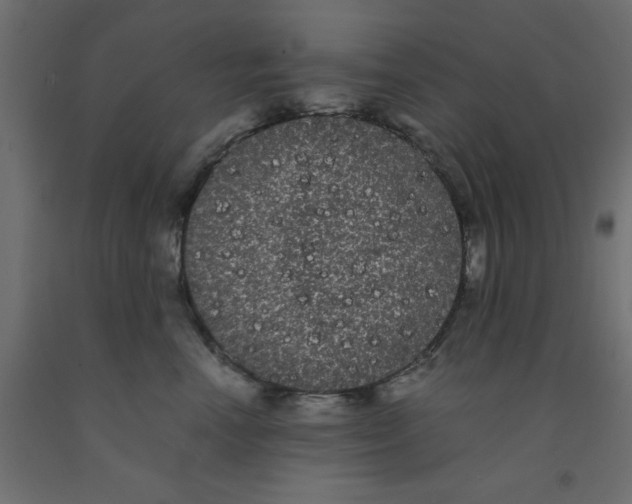 X0000090860666200708241900