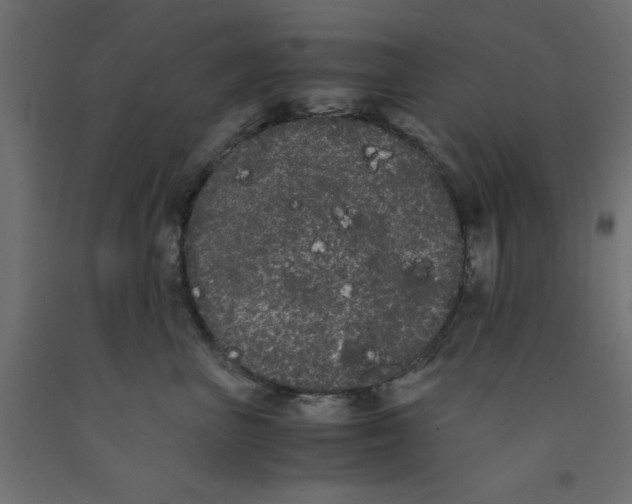 X0000090860667200708241900