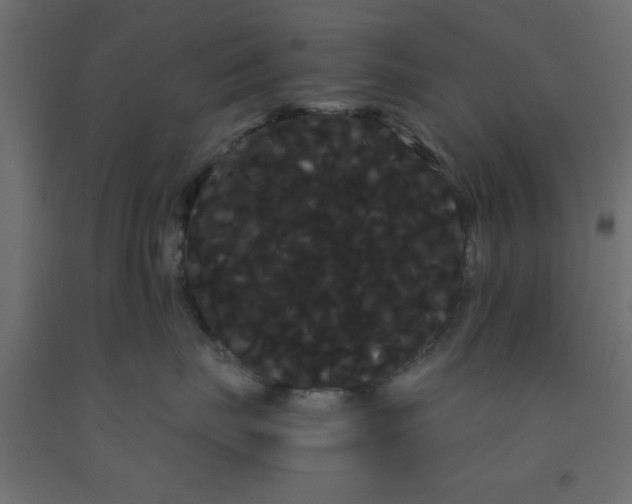 X0000090860671200708241900