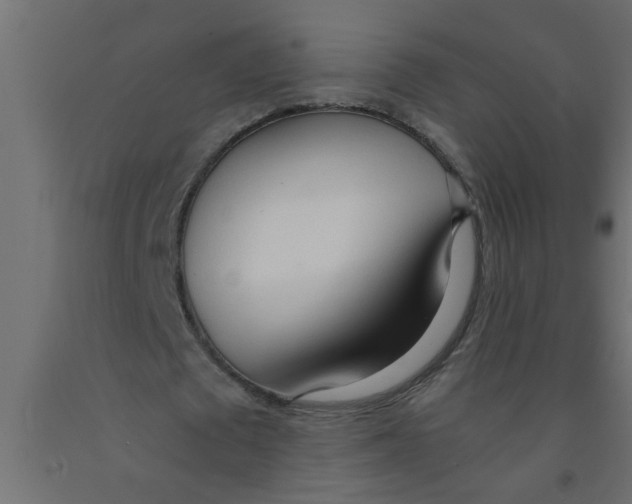 X0000090860673200708241859