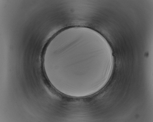 X0000090860674200708241859