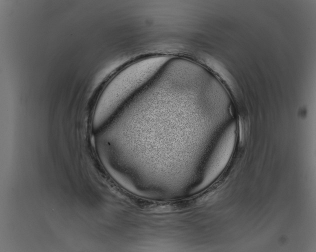 X0000090860675200708241859