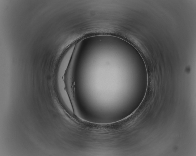 X0000090860677200708241859