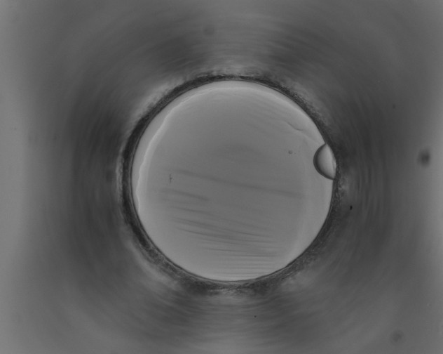 X0000090860678200708241859