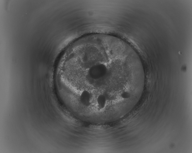 X0000090860679200708241859