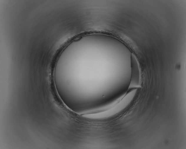 X0000090860680200708241859