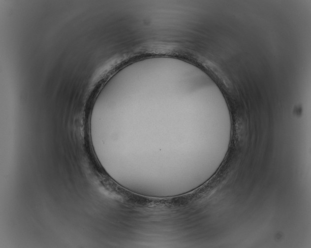 X0000090860682200708241859