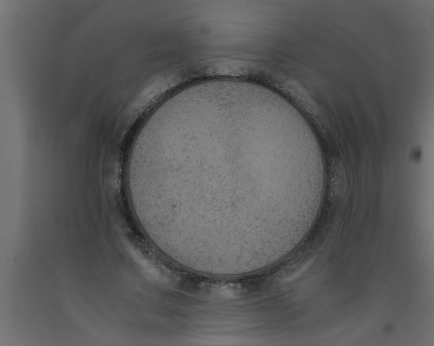 X0000090860683200708241859