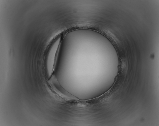 X0000090860684200708241859