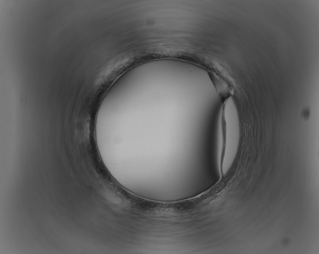 X0000090860685200708241859