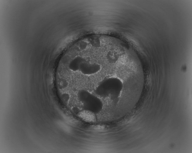 X0000090860687200708241859