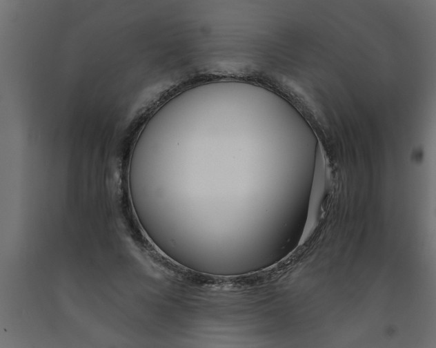 X0000090860688200708241859