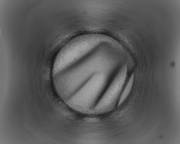 X0000090860689200708241859