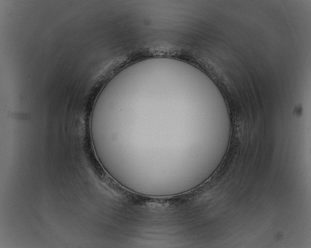 X0000090860690200708241859