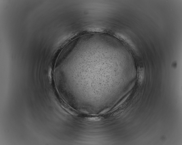 X0000090860692200708241859