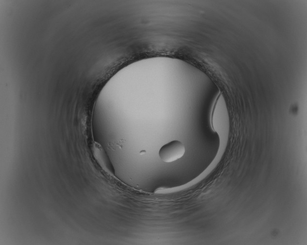 X0000090860693200708241859