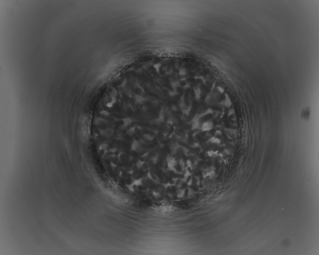 X0000090860695200708241859